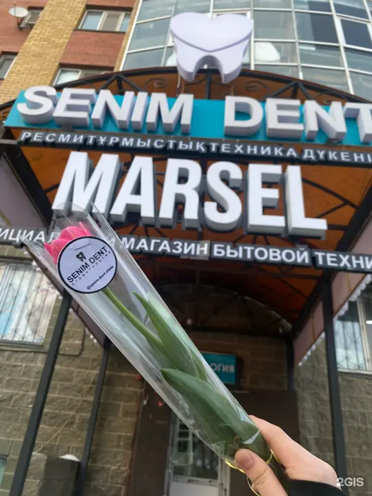 Тюльпан с наклейкой Senim Dent на фоне вывески клиники